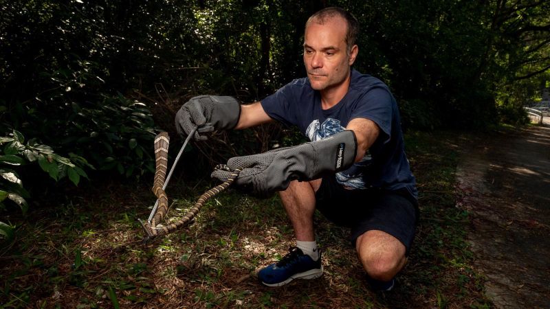 Vipères de bambou et kraits à nombreuses bandes : découvrez le safari des serpents à Hong Kong