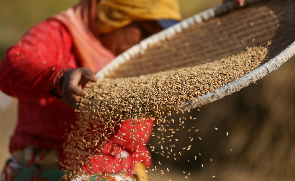 Un monde sans riz serait un monde sans culture